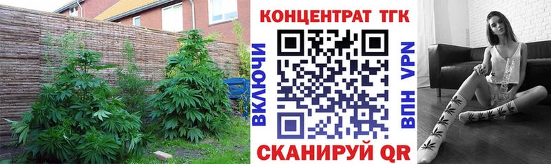 ТГК Wax  ОМГ ОМГ ССЫЛКА  Красноуральск 
