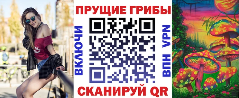 Псилоцибиновые грибы Cubensis  Красноуральск 
